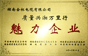 2010年度質(zhì)量興湘萬(wàn)里行魅力企業(yè).JPG